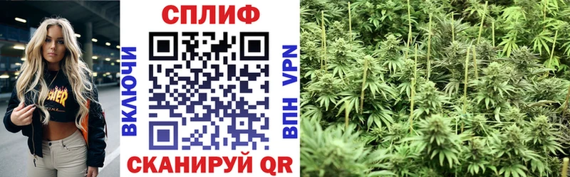 Купить где  Алзамай  Марихуана SATIVA & INDICA 